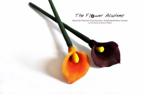 Polymer clay flower academy tutorial - how to create polymer clay flowers calla lily