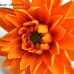 Polymer clay flower academy tutorial - how to create polymer clay flowers dahlia