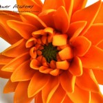 Polymer clay flower academy tutorial - how to create polymer clay flowers dahlia