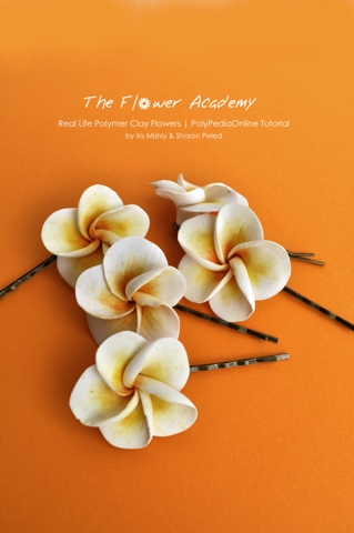 Polymer clay flower academy tutorial - how to create polymer clay flowers frangipani