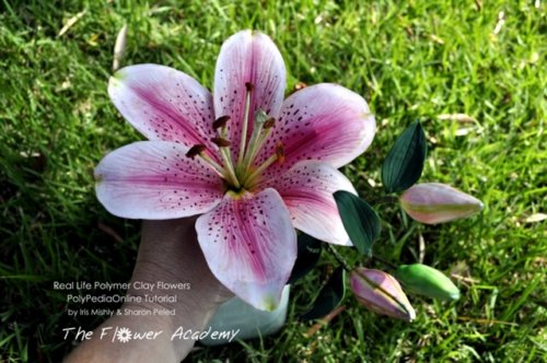 Flower Academy Polymer Clay Flowers Tutorial - Lily/Lilium Flower