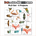 video tutorial macrame pattern