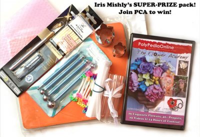 iris-mishly-pca-gift4-500